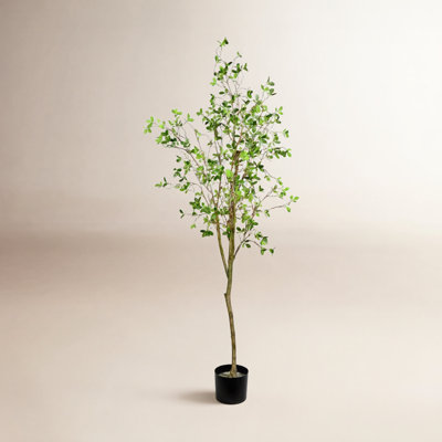 72" Milan Leaf Tree in Pot