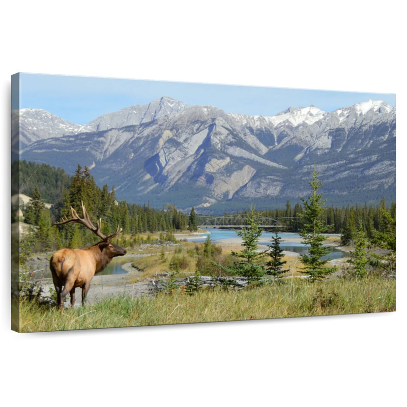 Jasper Elk, 32" H x 48" W