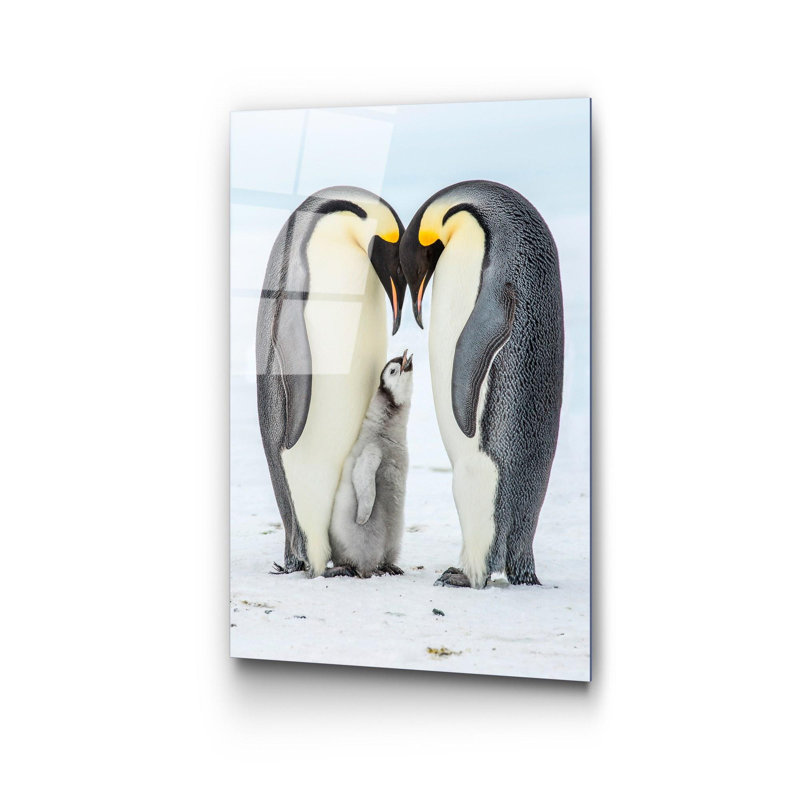 Boze Print on Glass