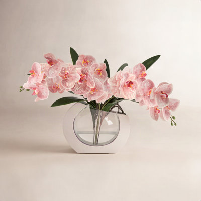 Transitional Isle Orchid Floral Arrangement