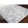 Diera Oriental Indoor Rug