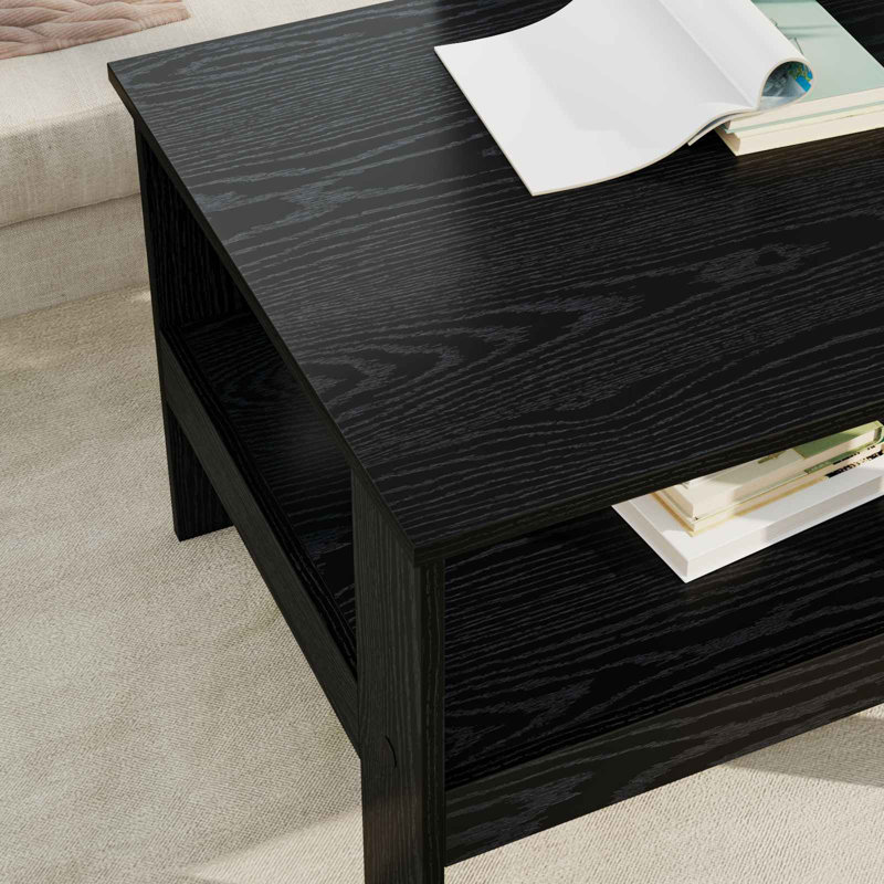 Coffee Table with Storage, Black Oak