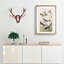 A Selection of Birds by John Audubon - Picture Frame Painting Print on Paper-55450942-55450938