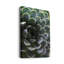 Zen Succulent I - reproduction de photo sur toile tendue-2074670130