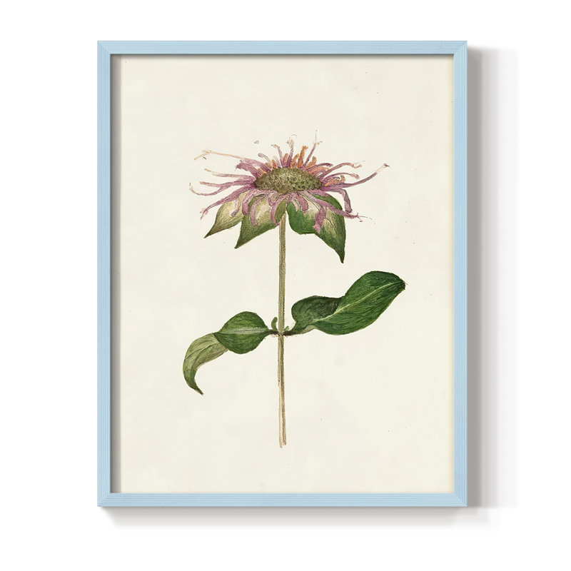 Mauve Garden Flowers V, reproduction encadrée - bois massif, Bleu, H 15 po x l 12 po