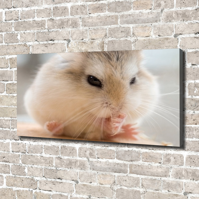 Hamster - No Frame Print on Canvas