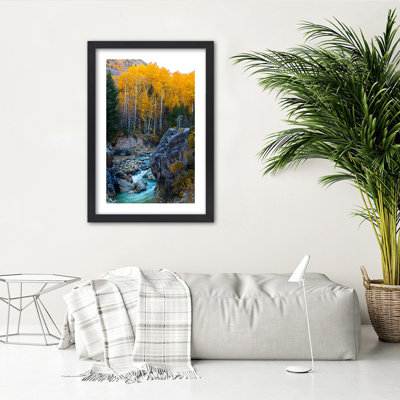 Stream, Forest, Nature - Single Picture Frame Print