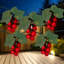 Ensemble de 5 guirlandes de lumières pour terrasse en grappe de raisin rouge 5 fils - fil vert