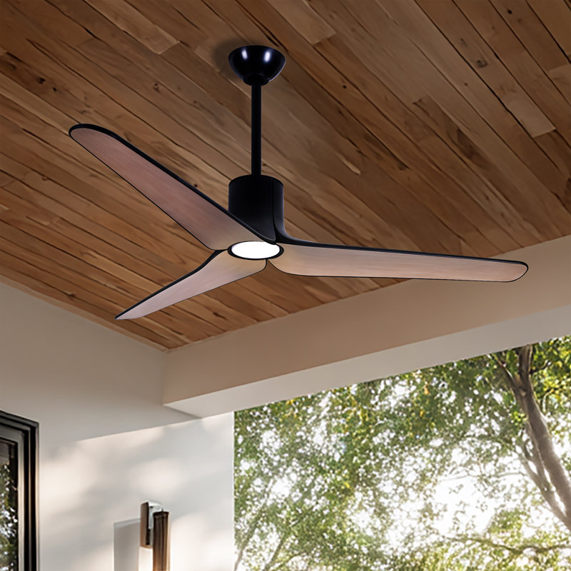 Ventilateur de plafond intérieur / extérieur à DEL 56 po Tempri, Noir, Bois brun