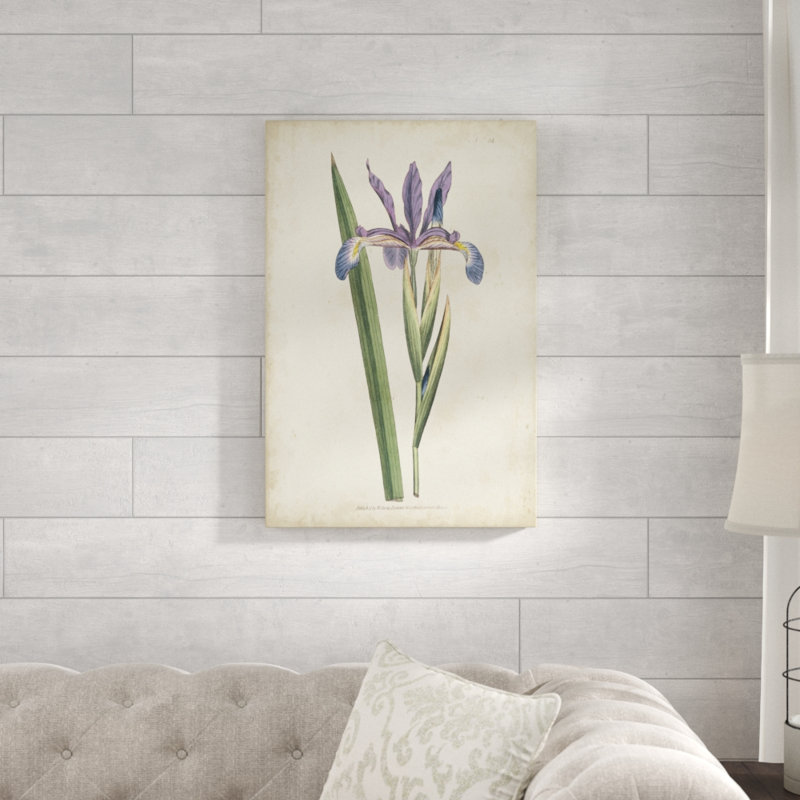 Lavender Curtis Botanicals III - Painting Print, Wrapped Canvas, 76cm H x 51cm W