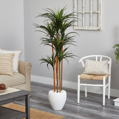 70in. Giant Yucca Artificial Tree in White Planter UV Resistant