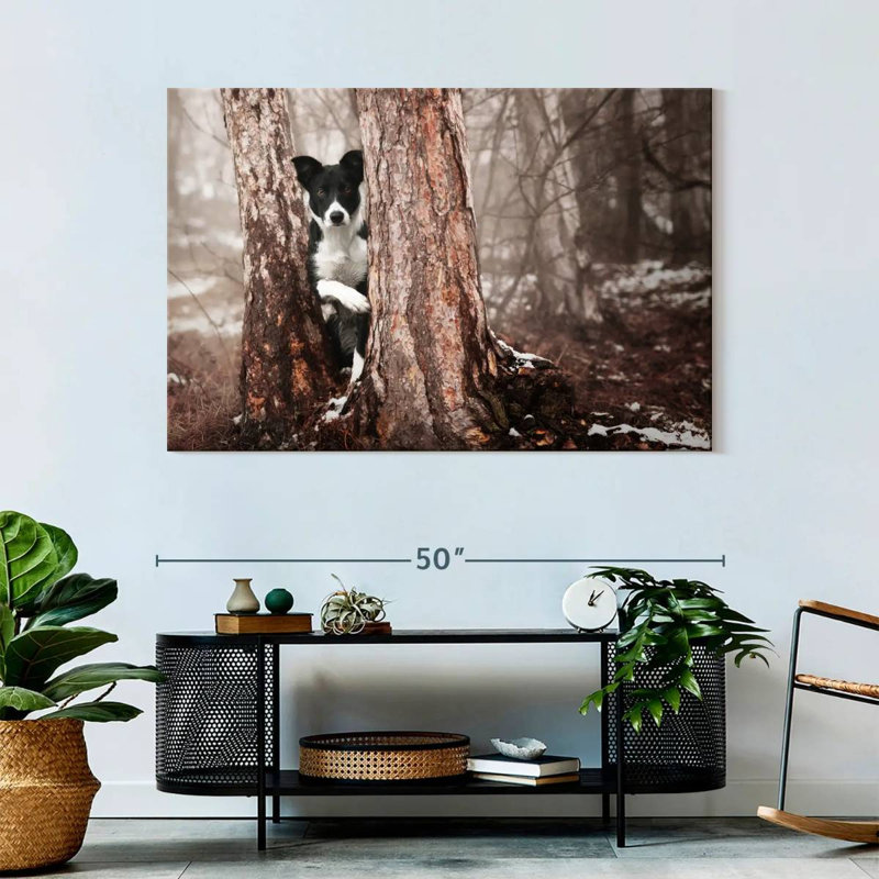 Brampt Playful Border Collie, 32'' H x 48'' W