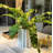 Ceramic Pot Planter-1639888142