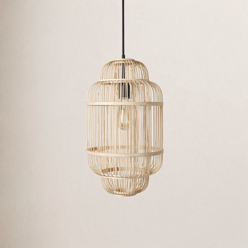 Lionel 1 - Light Caged Pendant