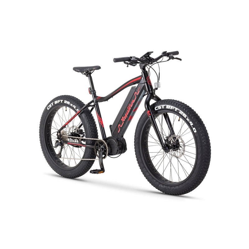 Rogue Wave -- Mountain Ebike