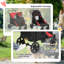 Dog Stroller for MediumLarge Breeds Foldable Pet Pram Red