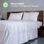 Ensemble de lit en draps 100% coton naturel Home Prides - satin de coton à densité de tissage 500-113839455-113839465