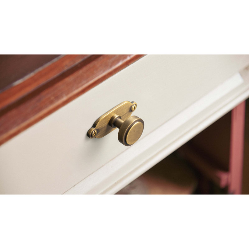 1.2'' Diameter Circle Knob With Backplate（G013） Multipack, Brushed Brass Bronze