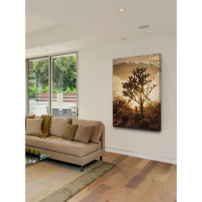 Sonoran Sun by Leda Robertson - Wrapped Canvas Print, 46 cm H x 30 cm W x 4cm D
