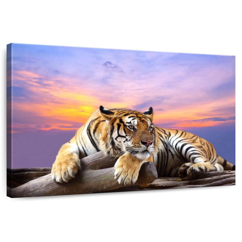 Lounging Tiger, 16" H x 24" W