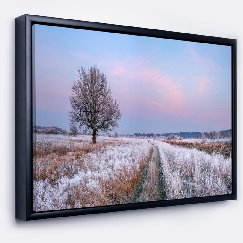 « dry oak tree », photographie, H 12 po x l 20 po x P 1 po, Cadre flottant