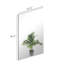 Miroir en verre 12,28 X 16,65 pouces