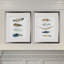 Collection de plumes - ensemble de 2 reproductions d'art graphique-28785820