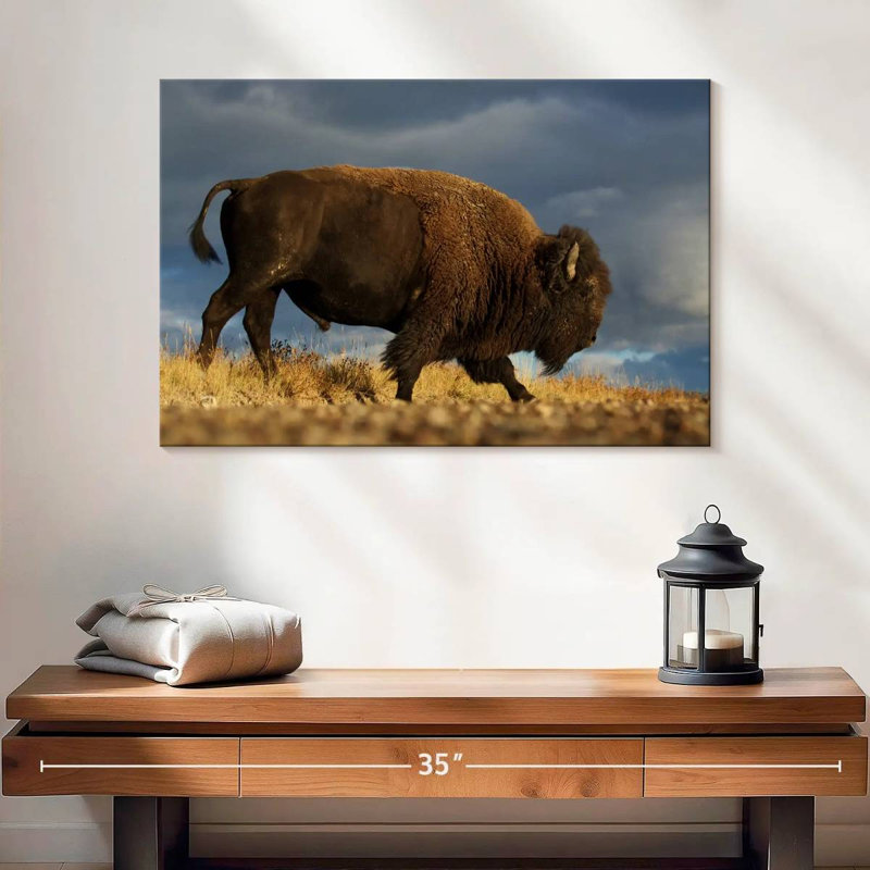 Roux marchant le bison d'Amérique, H 16 po x l 24 po