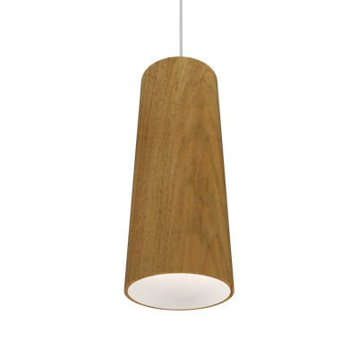 1 - Light Pendant