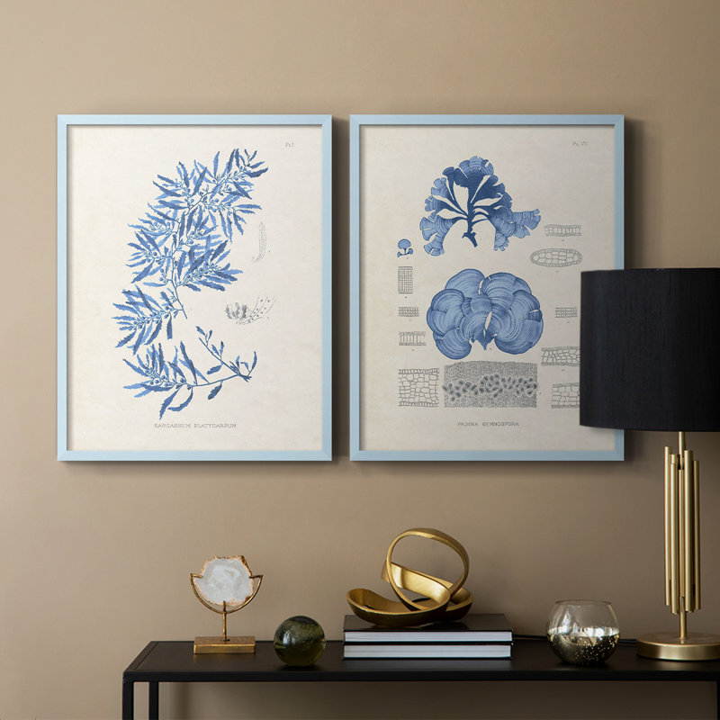Blue Marine Algae III - reproduction encadrée de qualité supérieure - prête à être accrochée - aucun clou requis - aucun clou requis