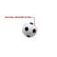Boules de soccer 1,38 po