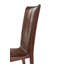 Vanucci Eclectics Leather Dining Chair