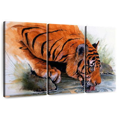 Brampt Tiger Drinking