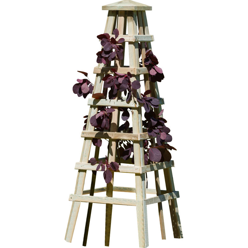 Nahant 120cm H x 39cm W Wood Obelisk
