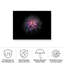 «Ologia 53 »sur toile-98043697
