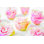 Fleurs de rose pâle III