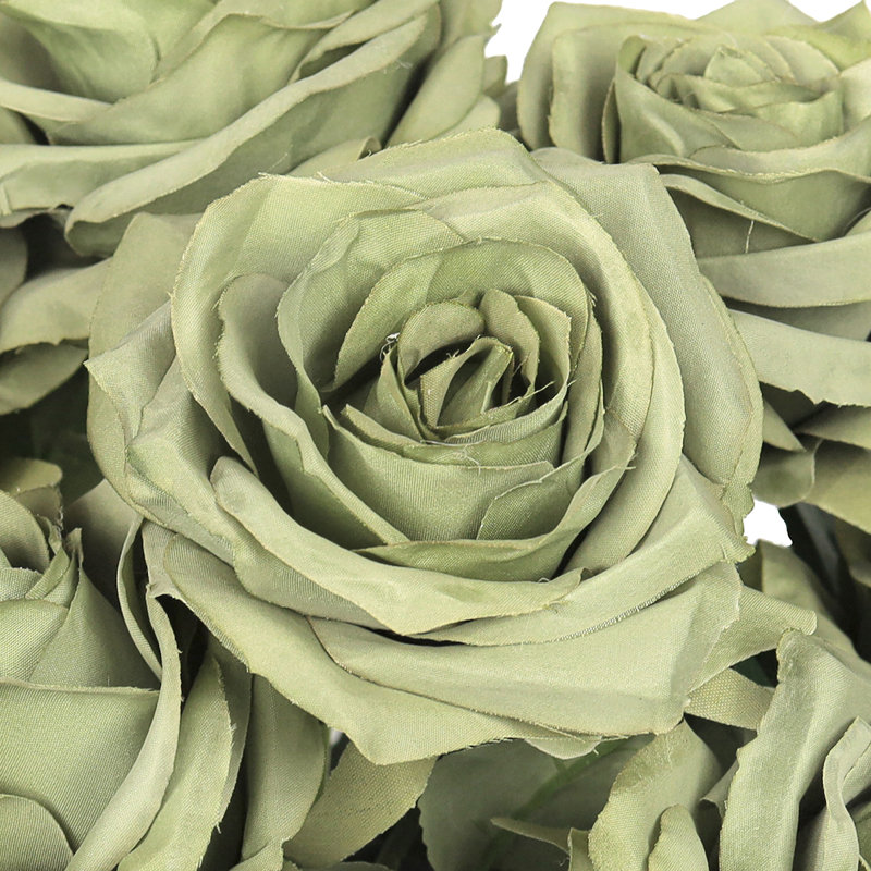 Grand rosier Jaafer Deluxe, Vert