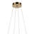Soft Modern Circular LED Chandelier-111187506-111187507