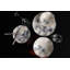 Tuckerman Piece Porcelain China Dinnerware Set - Service for 6