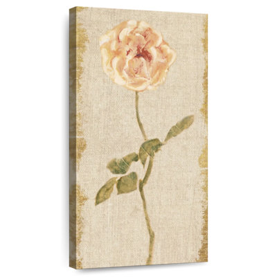 Panneau de rose pâle sur fond blanc rétro