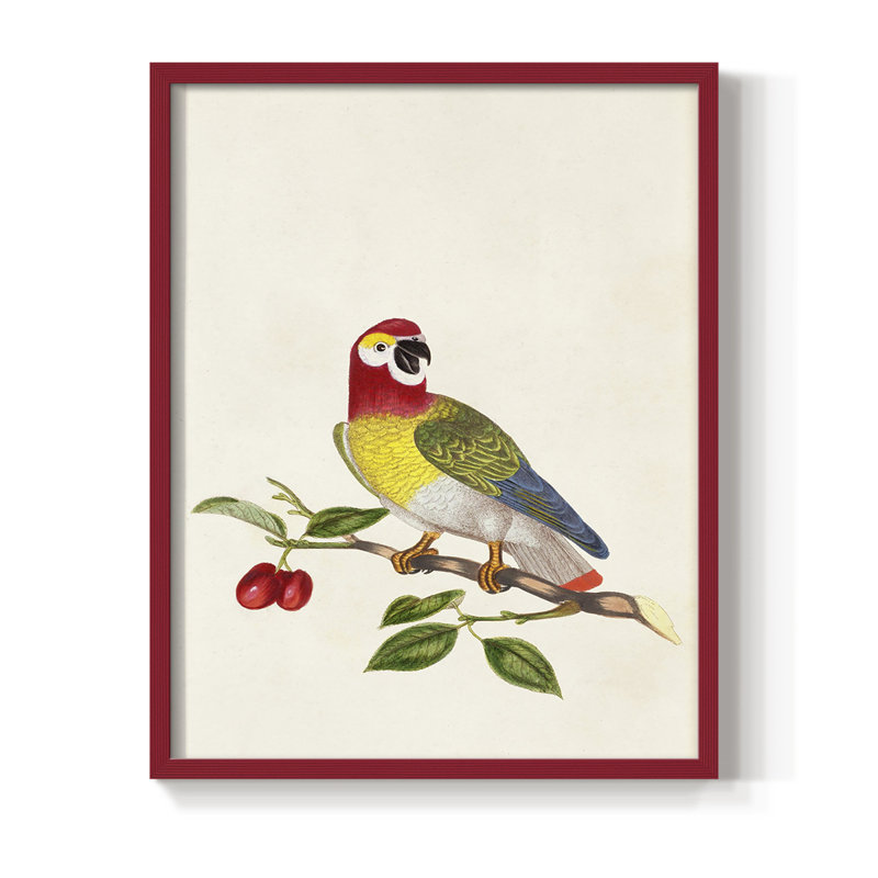 Bird in Habitat VI, reproduction encadrée - bois massif, Rouge, H 10 po x l 8 po