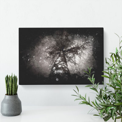 Birch Tree - Wrapped Canvas