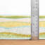 Safety Net Green Machine Washable Rug-1745888948