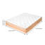 Breeins Foam Mattress-122902378