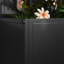 Wall Planter