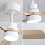 48 Inch Solid Wood Ceiling Fan With Dimmable Light 6 Speed Reversible DC Motor
