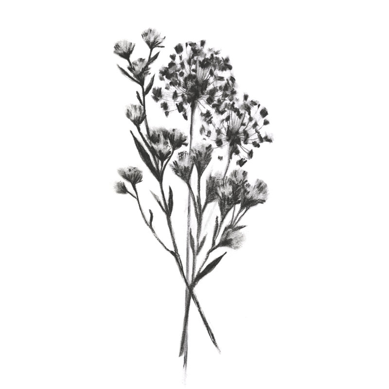 «Wild Roadside Bouquet II» par Emma Scarvey - impression sur toile tendue, H 48 po x l 32 po