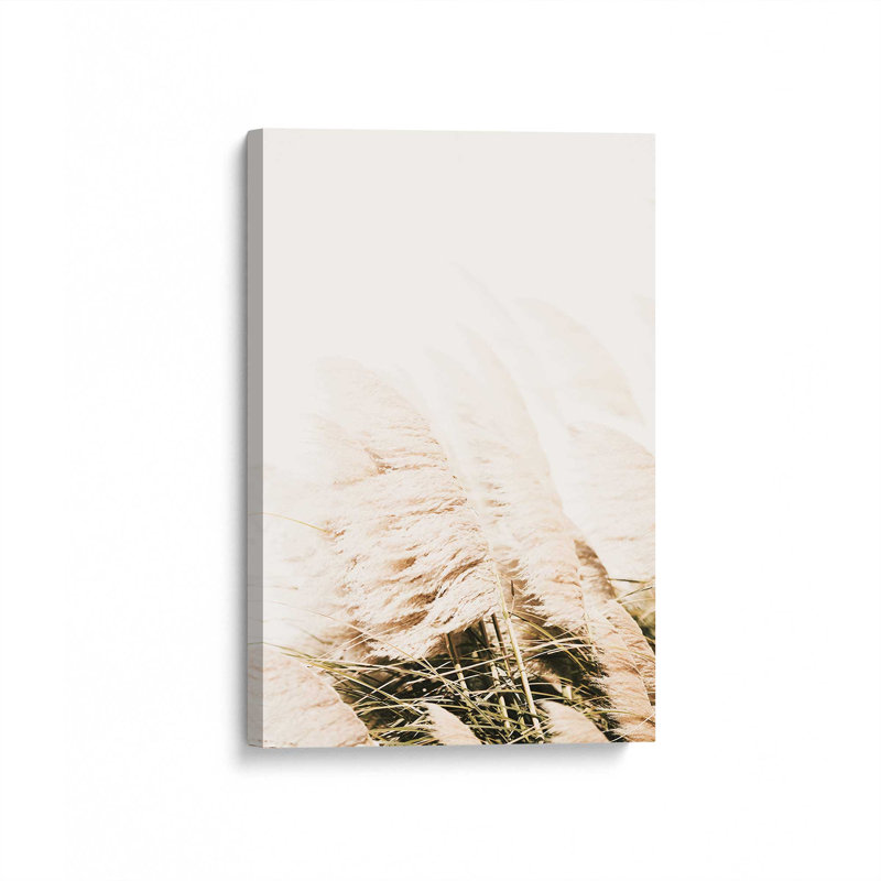 Impression sur toile Soft Pampas Plumes, H 18 po x l 12 po x P 1,25 po, Toile tendue