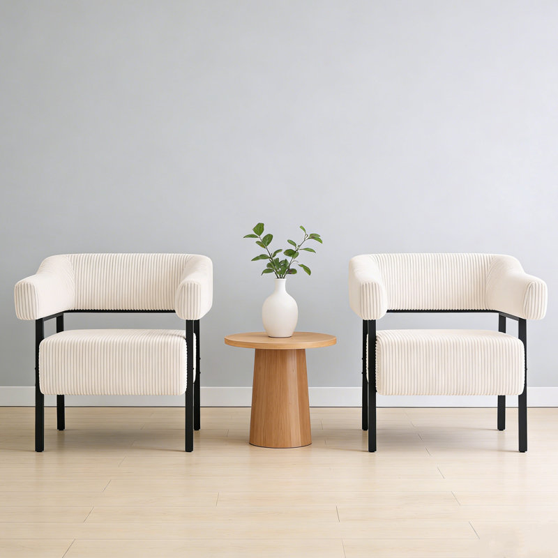 Chaise avec accoudoirs moderne en métal pour salon, chambre à coucher (ensemble de 2), Beige, Noir
