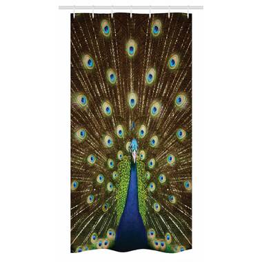 Peacock Shower Curtain Set + Hooks East Urban Home Size: 69 H x 105 W